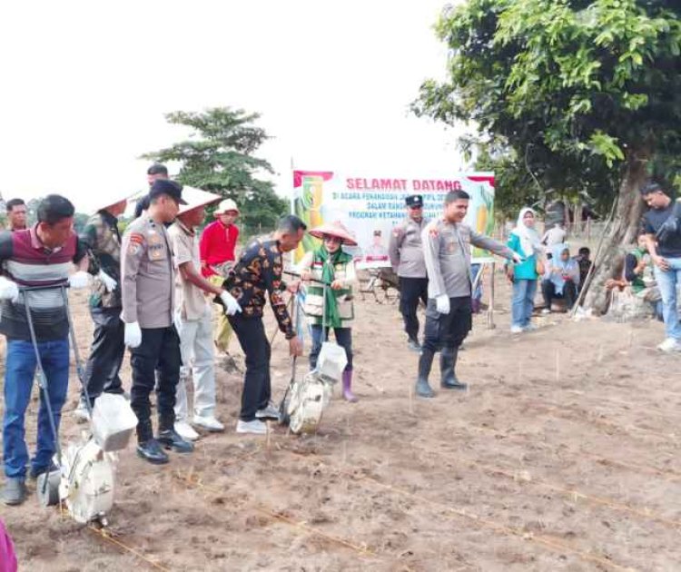 Polsek Cerenti Pimpin Penanaman Jagung, Sulap Lahan Kosong Jadi Produktif Demi Kesejahteraan Masyarakat