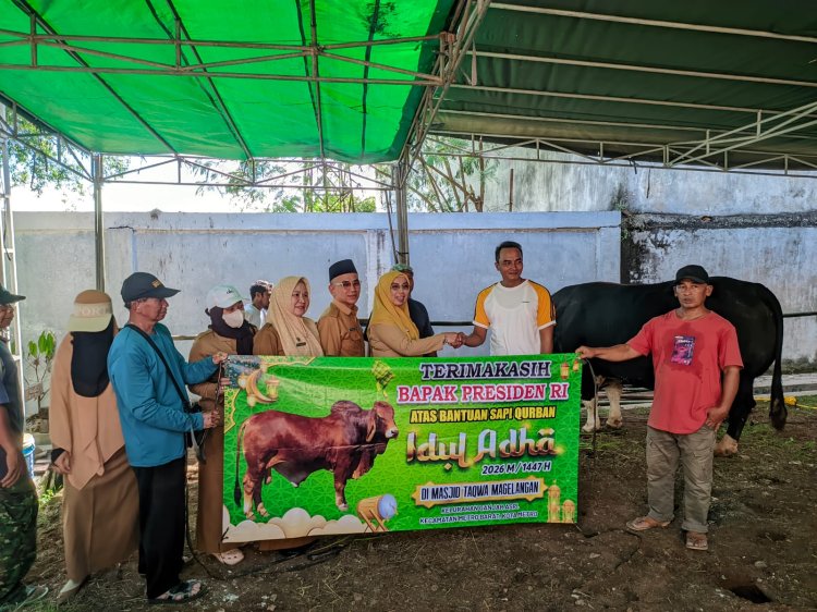 Idul Adha 1447 H, Masjid Taqwa Magelangan Metro Barat Bagikan 1.363 Kg Daging Kurban dari Presiden dan Baznas Lampung