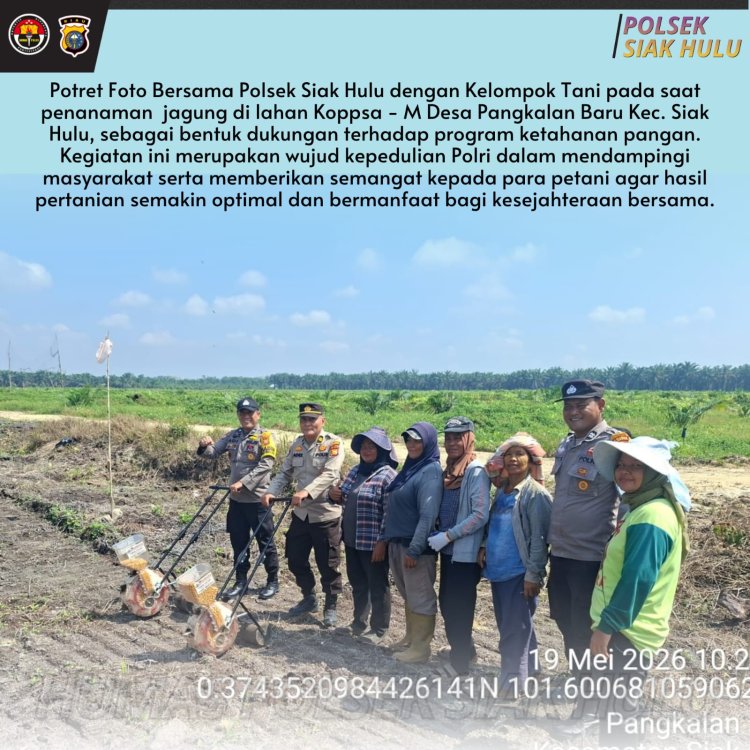 Sinergitas Polsek Siak Hulu dan Kelompok Tani Tanam Jagung di Pangkalan Baru