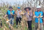 Lewat Program Polisi Cinta Petani, Polsek Tapung Hulu Salurkan Bantuan dan Kawal Swasembada Pangan