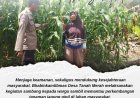 Bhabinkamtibmas Desa Tanah Merah Pantau Tanaman Jagung Pipil, Sukseskan Ketahanan Pangan Nasional