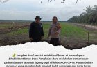 Pantau Tanaman Jagung di Lahan KOPPSA-M, Polsek Siak Hulu Kawal Swasembada Pangan Desa Pangkalan Baru