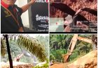 Dinilai Tak Mampu Kerja, Ketua LSM Gakorpan Riau Minta Kapolres Kuansing Dicopot