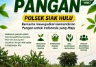 Kapolsek Siak Hulu Cek Perkembangan Tanaman Jagung Warga, Dukung Ketahanan Pangan Nasional