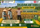 Dukung Ketahanan Pangan, Bhabinkamtibmas Kampung Seminai dan PPL Cek Persiapan Panen Jagung Pipil