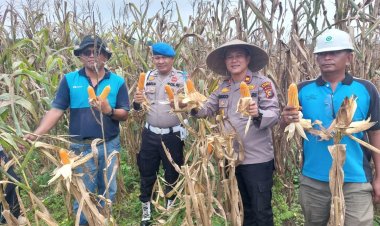 Lewat Program Polisi Cinta Petani, Polsek Tapung Hulu Salurkan Bantuan dan Kawal Swasembada Pangan