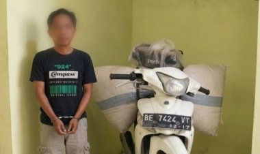 Tinggalkan Motor dan Dua Karung Kopi Sebulan Lalu, Satu Pelaku Ditangkap Polsek Pulau Panggung di Ulu Belu