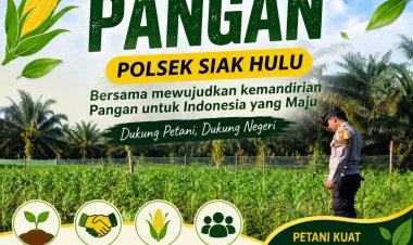 Bhabinkamtibmas Polsek Siak Hulu Monitor Pertumbuhan Jagung KOPPSA-M, Wujud Nyata Dukungan Polri Terhadap Ketahanan Pangan