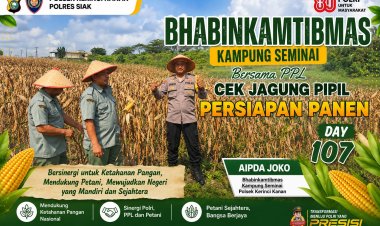 Dukung Ketahanan Pangan, Bhabinkamtibmas Kampung Seminai dan PPL Cek Persiapan Panen Jagung Pipil