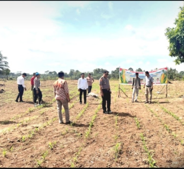 Kapolsek Cerenti Pastikan Program Ketahanan Pangan Desa Sikakak Berjalan Optimal