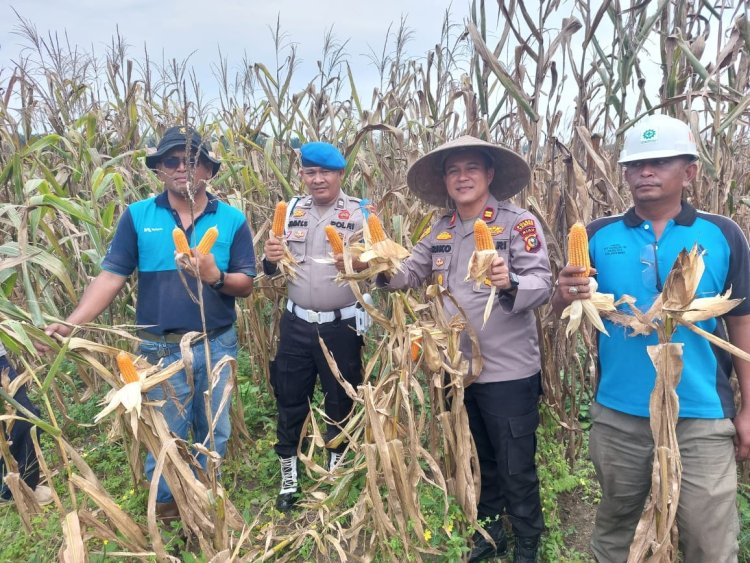 Lewat Program Polisi Cinta Petani, Polsek Tapung Hulu Salurkan Bantuan dan Kawal Swasembada Pangan