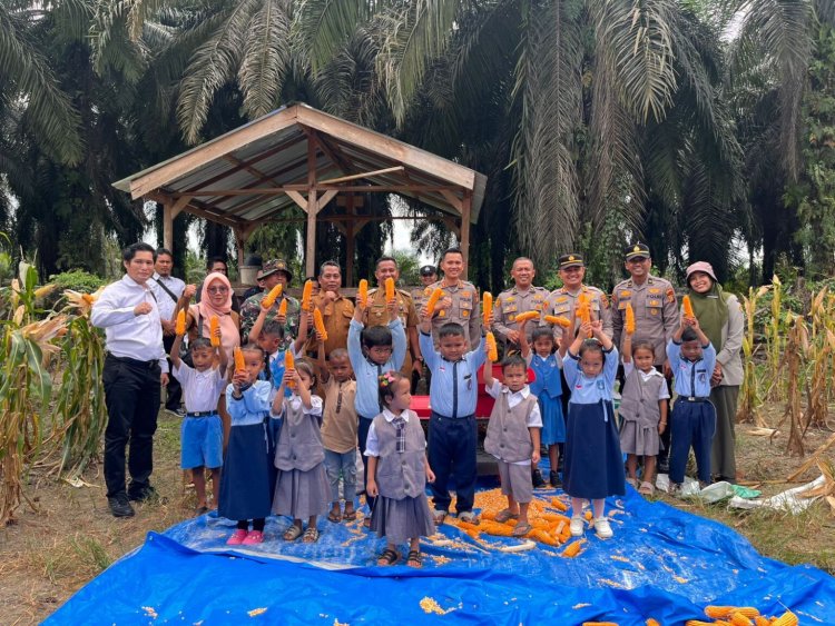 Perkuat Asta Cita Presiden, Kapolres Kuansing Pimpin Panen Raya Jagung Pipil Tahap II di Sungai Bawang