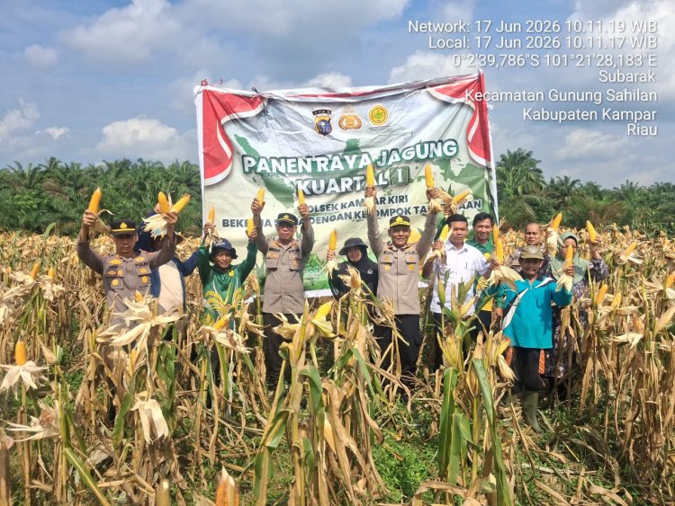 Sukseskan Asta Cita Presiden, Kompol RZ Siregar Pimpin Panen Raya Jagung Pipil di Desa Gunung Mulya