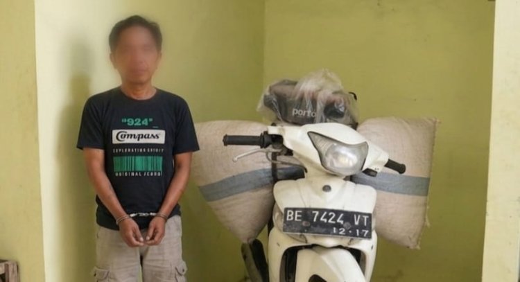 Tinggalkan Motor dan Dua Karung Kopi Sebulan Lalu, Satu Pelaku Ditangkap Polsek Pulau Panggung di Ulu Belu