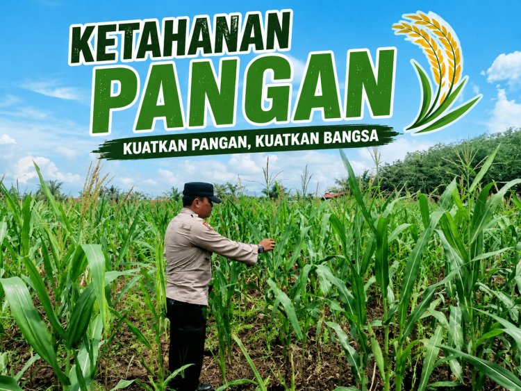 Bhabinkamtibmas Desa Pandau Jaya Lakukan Pengecekan Tanaman Jagung, Dukung Suksesnya Program Ketahanan Pangan Nasional