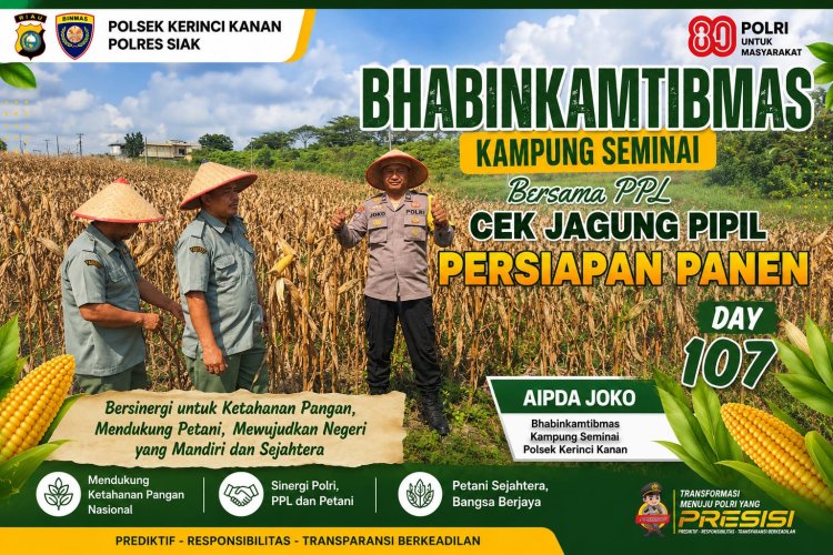 Dukung Ketahanan Pangan, Bhabinkamtibmas Kampung Seminai dan PPL Cek Persiapan Panen Jagung Pipil