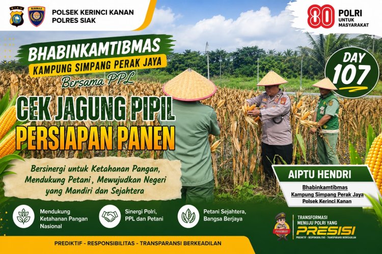 Aiptu Hendri Bersama PPL Tinjau Perkembangan Jagung Pipil di Simpang Perak Jaya