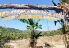 Hampir Setengah Miliar Dana Desa Digelontorkan untuk Wisata Jambu Brahollo, LAPAAN RI Temukan Dugaan Kejanggalan Pengelolaan