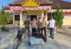 Curi 1 Ton Buah Sawit, Pria Asal Marga Sekampung Diciduk Tekab 308 Presisi Polsek Waway Karya