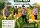Kapolsek Kerinci Kanan Tinjau Lahan Jagung Pipil, Perkuat Sinergi Ketahanan Pangan Bersama PT MSSP