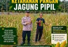Bhabinkamtibmas Kampung Gabung Makmur Laksanakan Pembinaan dan Pengecekan Ketahanan Pangan Jagung Pipil
