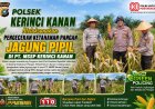 Dukung Asta Cita Ketahanan Pangan, Kapolsek Kerinci Kanan Tinjau Lahan Jagung Pipil PT MSSP