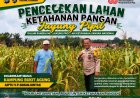 Dukung Asta Cita, Aiptu VM Simanjuntak Monitoring Ketahanan Pangan Jagung Pipil di Bukit Agung