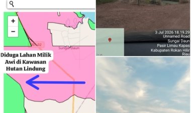 Kawasan Hutan Lindung "Disulap" Jadi Kebun Kelapa Sawit, Kepala Desa Sungai Daun Diduga Terlibat