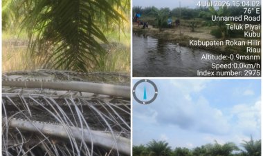 2 Desa "Dijajah", Oknum Kades dan APH Diduga Muluskan Usaha Kebun Kelapa Sawit Aw