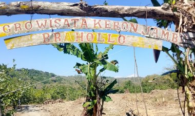 Hampir Setengah Miliar Dana Desa Digelontorkan untuk Wisata Jambu Brahollo, LAPAAN RI Temukan Dugaan Kejanggalan Pengelolaan