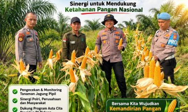 Kapolsek Kerinci Kanan Tinjau Lahan Jagung Pipil, Perkuat Sinergi Ketahanan Pangan Bersama PT MSSP