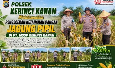 Dukung Asta Cita Ketahanan Pangan, Kapolsek Kerinci Kanan Tinjau Lahan Jagung Pipil PT MSSP