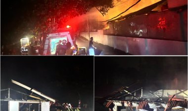 Kebakaran Losmen Paradise Surf Camp di Tanjung Setia, Polres Pesisir Barat Lakukan Penanganan Cepat
