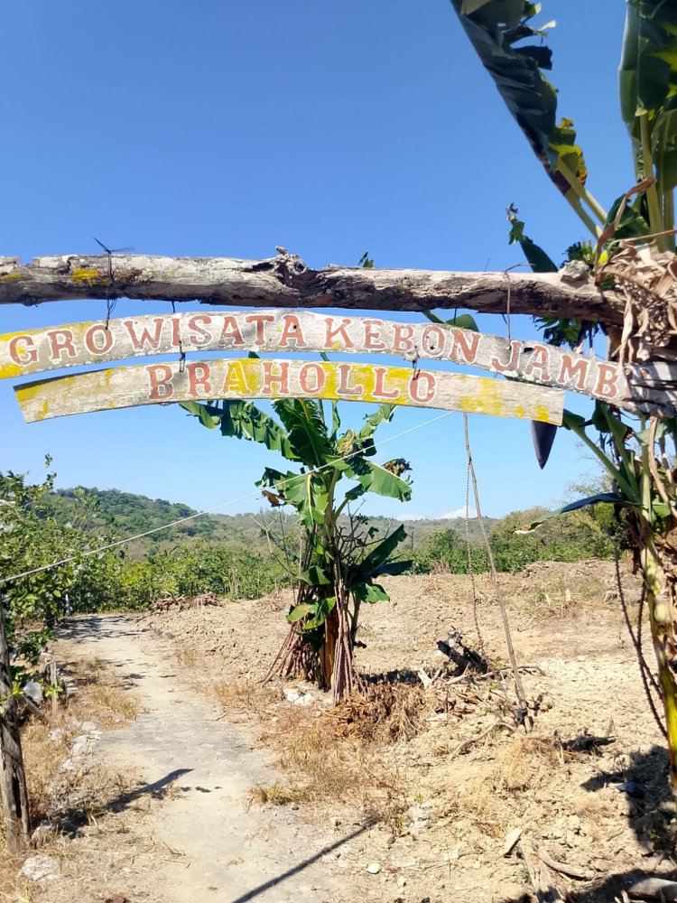 Hampir Setengah Miliar Dana Desa Digelontorkan untuk Wisata Jambu Brahollo, LAPAAN RI Temukan Dugaan Kejanggalan Pengelolaan