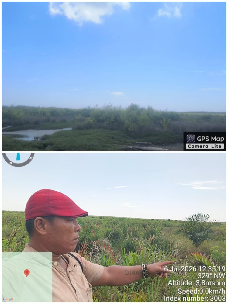 Kawasan Hutan Mangrove Dirambah, Oknum Kades Serusa Mengaku Salah dan Langgar Hukum