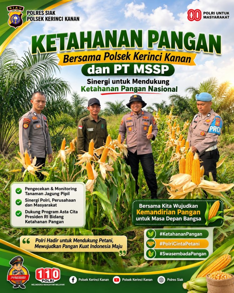 Kapolsek Kerinci Kanan Tinjau Lahan Jagung Pipil, Perkuat Sinergi Ketahanan Pangan Bersama PT MSSP