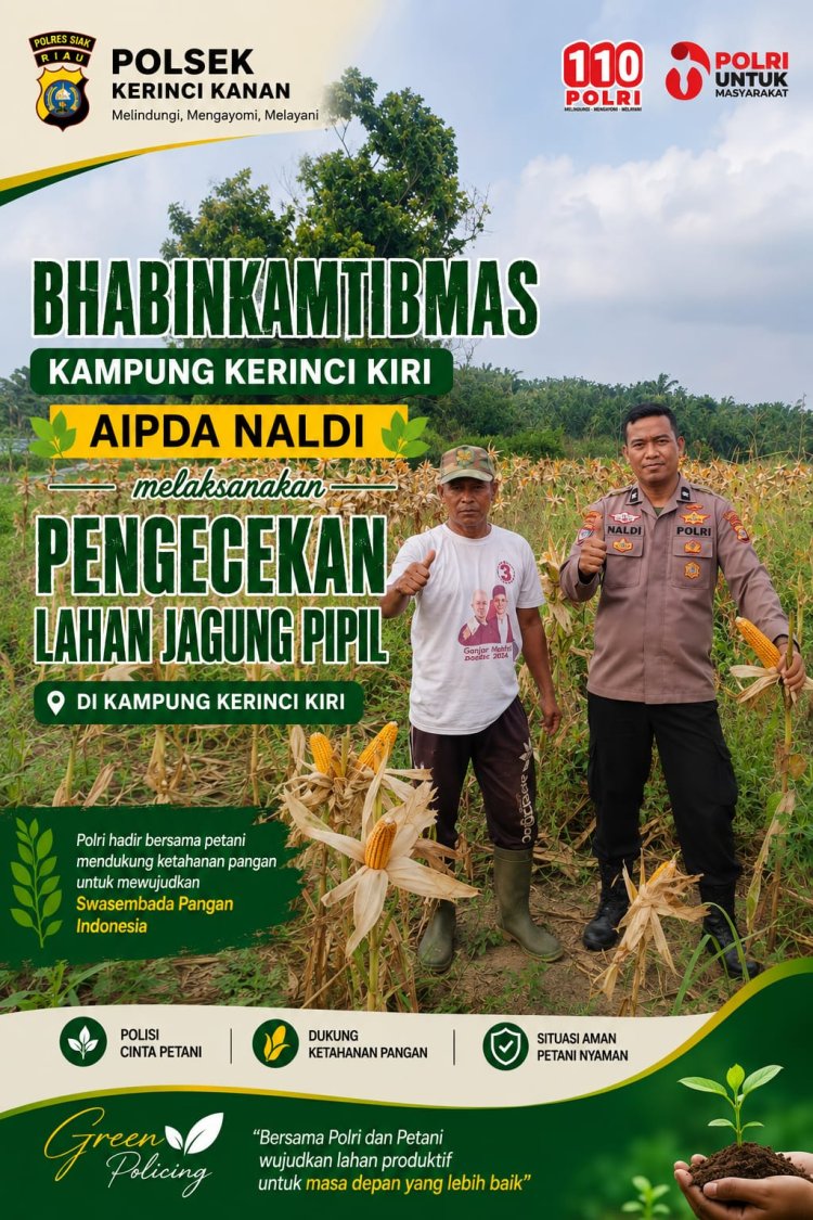 Bhabinkamtibmas Kampung Kerinci Kanan Lakukan Pengecekan Lahan Jagung Pipil