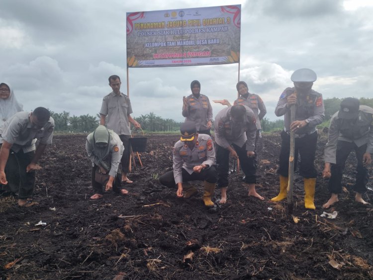 Sinergi Ketahanan Pangan, Kompol Deni Afrial Pimpin Penanaman Jagung Pipil di Desa Baru