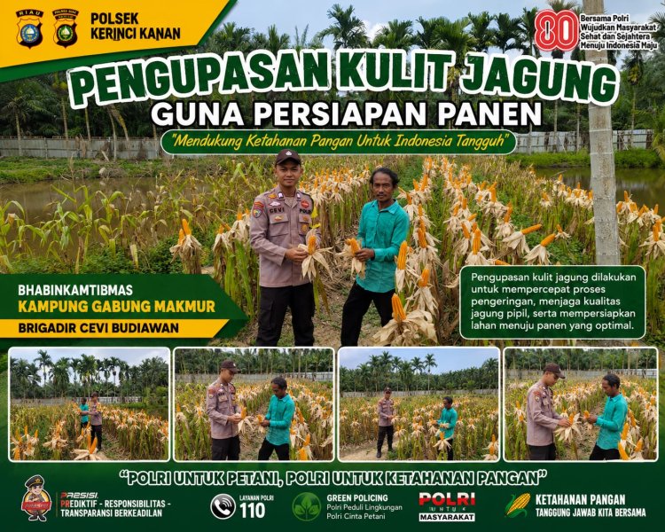 Bantu Petani Kupas Kulit Jagung, Brigadir Cevi Budiawan Sukseskan Ketahanan Pangan Nasional