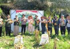 Polsek Kerinci Kanan Bersama Pemerintah Kampung dan Kelompok Tani Panen Jagung di Kampung Kerinci Kiri, Perkuat Ketahanan Pangan