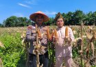 Pemerintah Kampung Kerinci Kiri Apresiasi Peran Bhabinkamtibmas Polsek Kerinci Kanan dalam Mendampingi Program Ketahanan Pangan