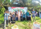 Mahasiswa KKN UIN Suska Riau Antusias Ikuti Panen Jagung Pipil, Dukung Ketahanan Pangan di Kampung Kerinci Kiri