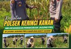 Kapolsek Kerinci Kanan Cek Jagung Pipil di Kampung Bukit Agung, Dukung Ketahanan Pangan