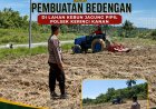 Progres Tanam Jagung Pipil Kuartal III Digenjot, Penggemburan Tanah dan Pembuatan Bedeng Dilakukan