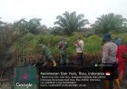 Gambut Kering Membara, Tim Gabungan Berjibaku Padamkan 3 Hektare Lahan Sawit di Buluh Cina