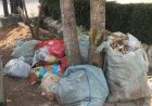 Dari TPAS ke Depan Rumah, Krisis Sampah Mulai Mengusik Warga Kota Metro
