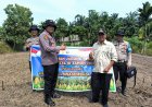 Penghulu Kampung Buatan Baru Dukung Asta Cita Presiden melalui Ketahanan Pangan Jagung Pipil