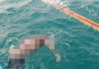Setelah Tiga Hari, Nelayan Korban Kecelakaan Laut Ditemukan Mengapung di Perairan Way Haru