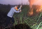‎Titik Api Di Kawasan Way Kambas, Kapolres Lamtim Terjun Padamkan  ‎