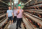 Kapolsek Kerinci Kanan Tinjau Budidaya Ayam Petelur di Kampung Delima Jaya, Dukung Ketahanan Pangan